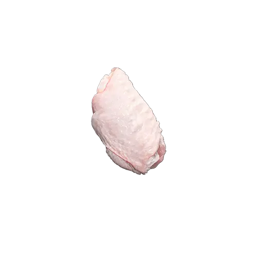 بال مرغ تندیس