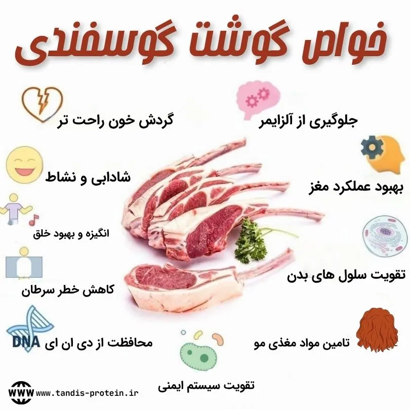 چرا گوشت گوسفندی بخوریم؟