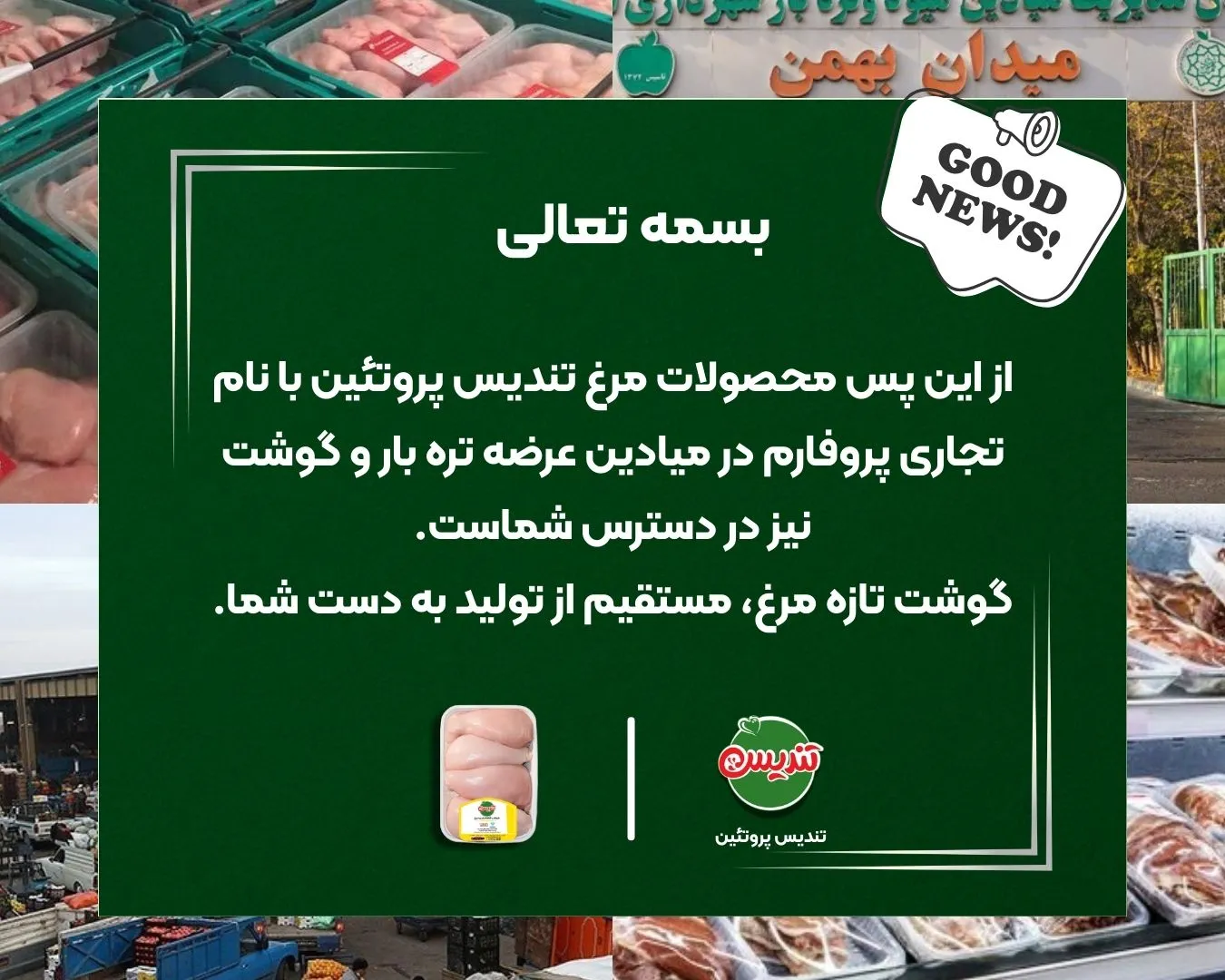 تندیس پروتئین وارد میادین تره بار شد